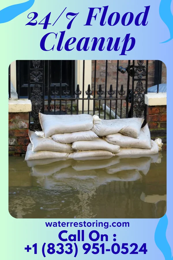 24/7 Flood Cleanup in Mount Olive, NC