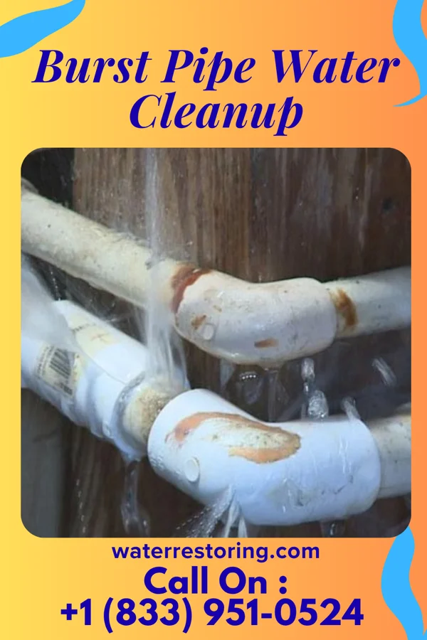 Burst Pipe Water Cleanup in Mount Olive, NC