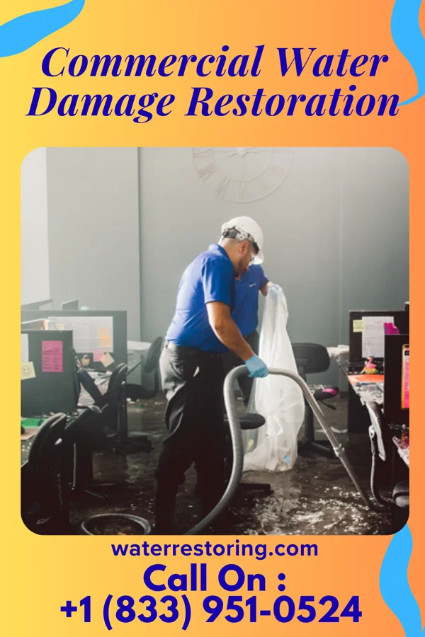 Commercial Water Damage Restoration in Mount Olive, NC