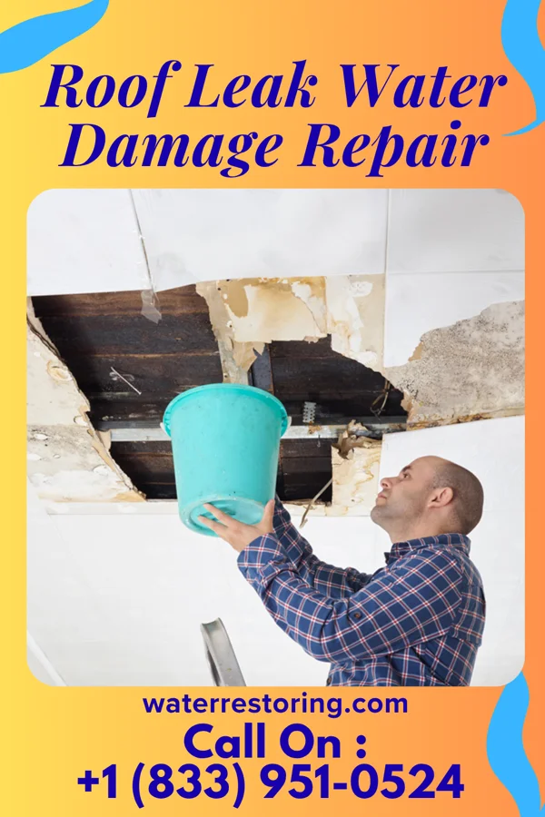 Roof Leak Water Damage Repair in Mount Olive, NC