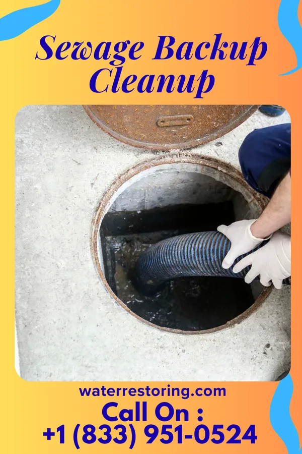 Sewage Backup Cleanup in Mount Olive, NC